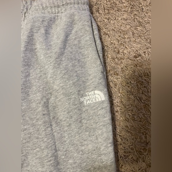 The North Face Light Gray Fleece-Lined Pants - Picture 1 of 4